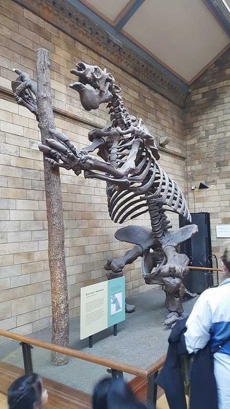 Complete Guide to the Natural History Museum London - Giant Sloth