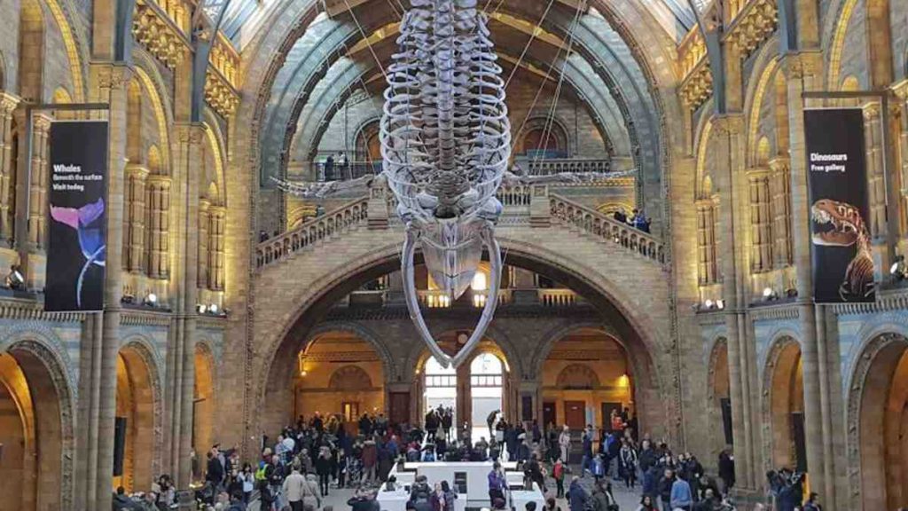Natural History Museum in London - Complete Visit Guide