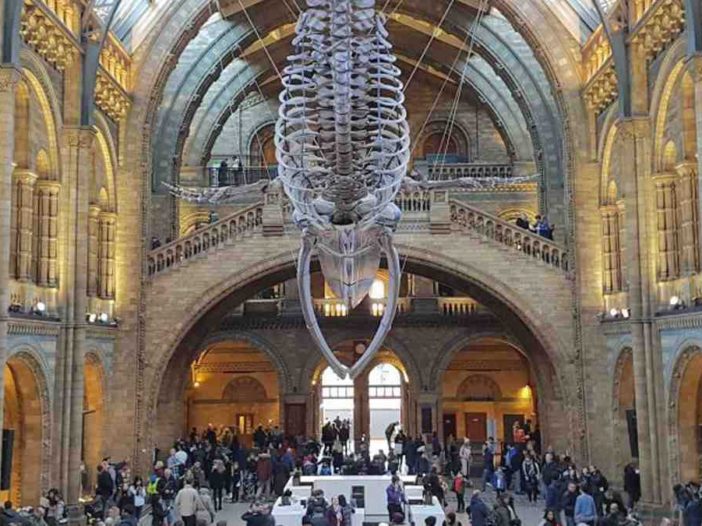 Natural History Museum In London England Complete Visit Guide