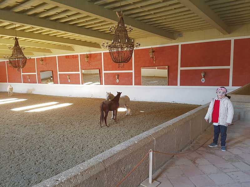 Travel planning for what to visit in Ronda in Spain - Plaza de Toros de Ronda