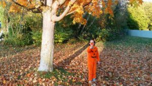 Halloween in Germany – History and updated tips and attractions