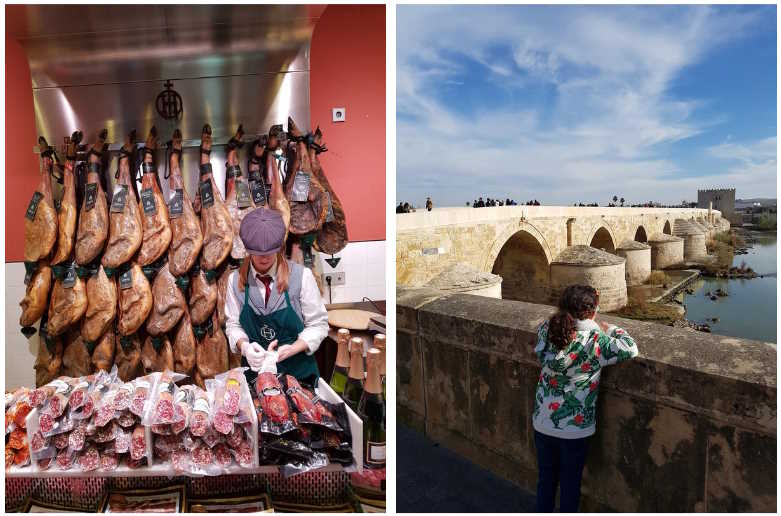 What to do in Córdoba, Spain in 1 or 2 days trip - Jamon and Roman Bridge