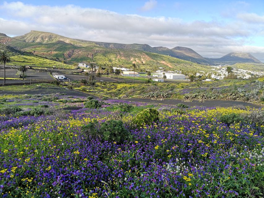 Top 10 attractions in Lanzarote, Canary Islands in Spain