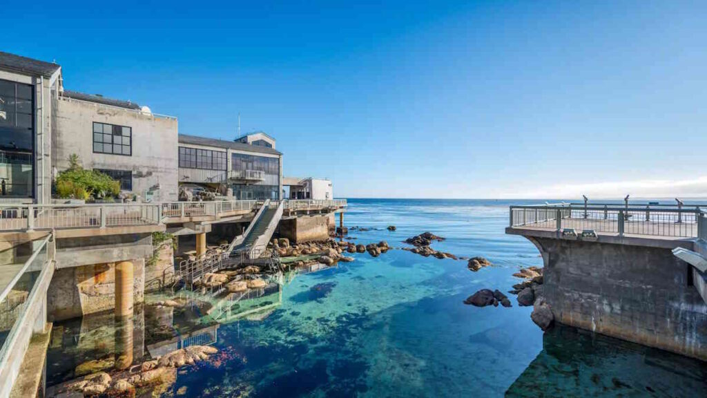 What to See and Things to Do in Monterey Bay Aquarium in California, USA