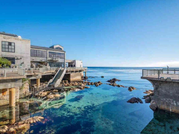 What to See and Things to Do in Monterey Bay Aquarium in California, USA