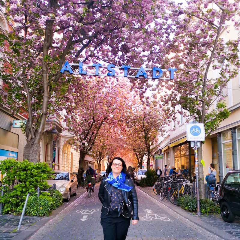 Where is Exactly the Cherry Blossoms Street in Bonn, Germany