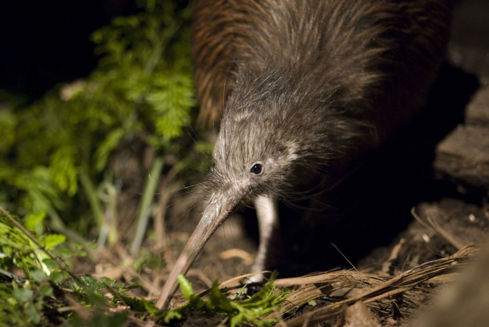 Orana Wildlife Park Admission