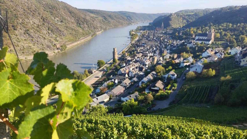 Wine Route in Germany: A Complete Guide