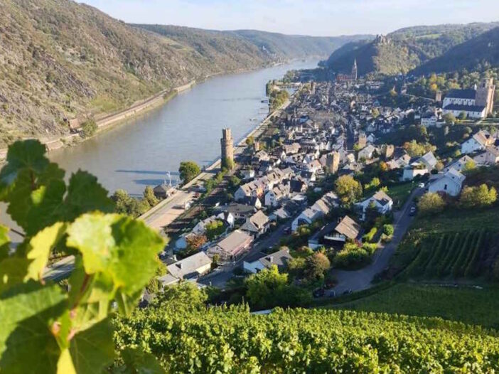 Wine Route in Germany: A Complete Guide