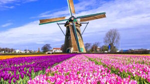 Keukenhof, Netherlands – Practical Tips and Information for Visiting