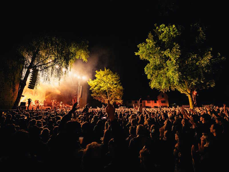 What to Do in Cactus Festival in Bruges, Belgium