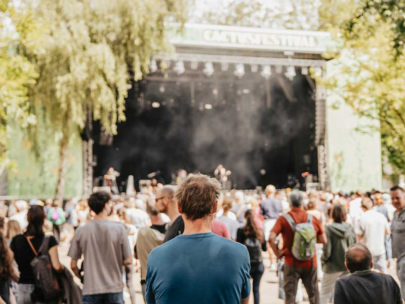 Brief History of Cactus Festival