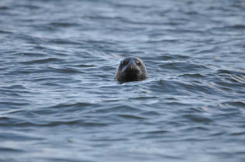 As 10 principais atrações do Mar Báltico e do Mar do Norte