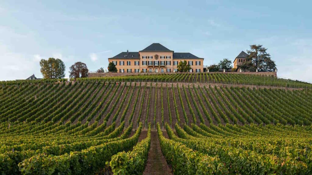 Best Wine Tours, Tourist Attractions, and Wine Tastings in Germany