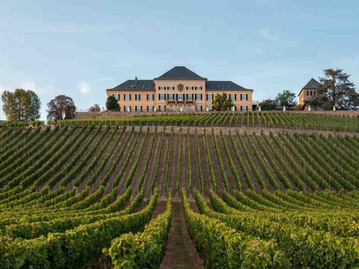 Best Wine Tours, Tourist Attractions, and Wine Tastings in Germany