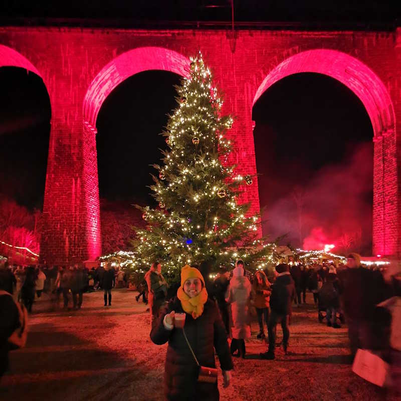 What to Do at the Ravenna Gorge Christmas Market