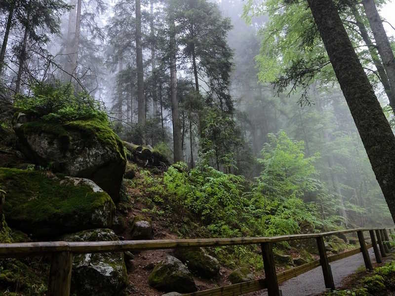 What to Do in the Black Forest in Winter