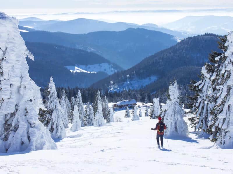 Top 10 Attractions in the Black Forest