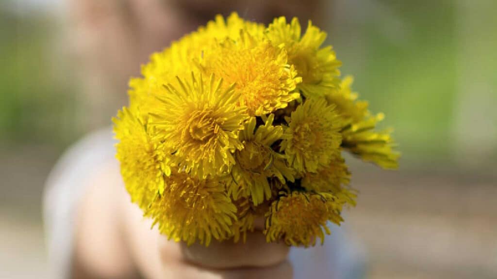 Mother’s Day Messages and Quotes for Cards and Tributes