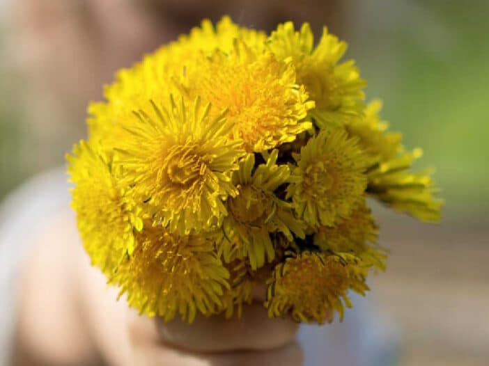 Mother’s Day Messages and Quotes for Cards and Tributes