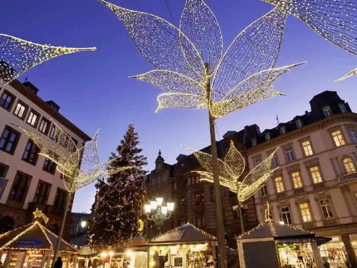 Wiesbaden Christmas Market: A Complete Guide to the Sternschnuppenmarkt